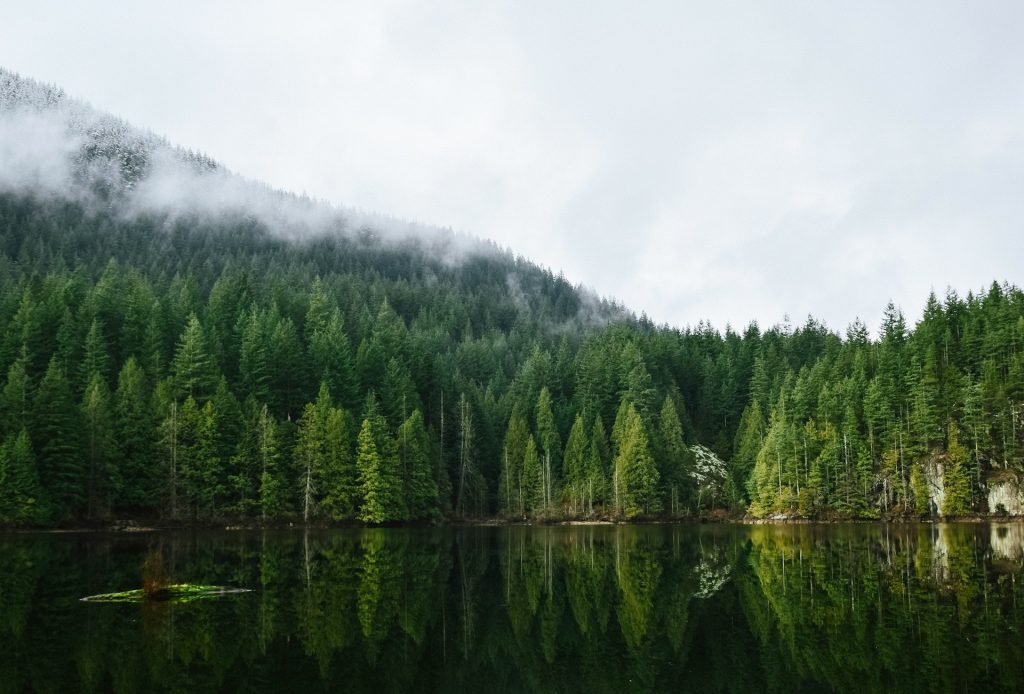 North Vancouver Real Estate Market Update June 2026