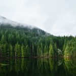 North Vancouver Real Estate Market Update June 2026